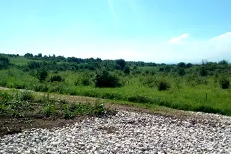 Парцел в София, Обеля