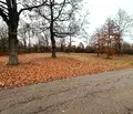 Снимка 5 — Парцел в Монтана, Огоста