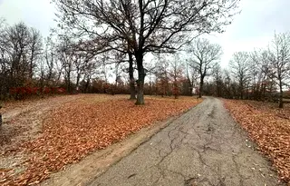Парцел в Монтана, Огоста