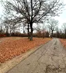 Парцел в Монтана, Огоста