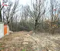 Снимка 3 — Парцел в Монтана, Огоста