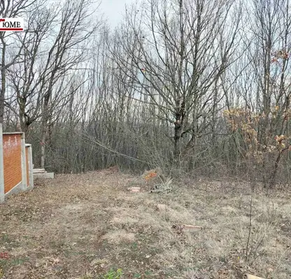 Снимка 3 — Парцел в Монтана, Огоста