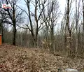 Снимка 4 — Парцел в Монтана, Огоста