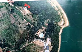 Парцел в Монтана, Огоста
