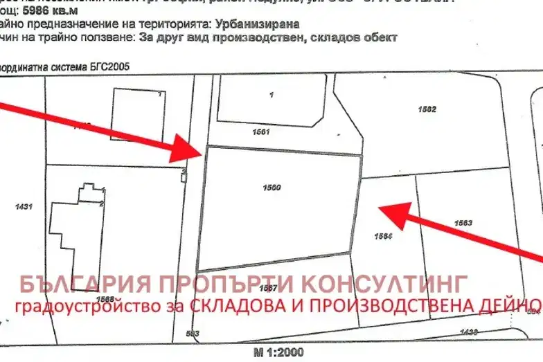 Plot in Sofiya, Orlandovci
