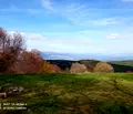 Снимка 5 — Парцел в Кюстендил, Осогово
