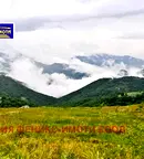 Парцел в Кюстендил, Осогово