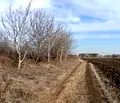 Снимка 3 — Парцел в Пловдив, Остромила