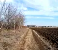 Снимка 4 — Парцел в Пловдив, Остромила