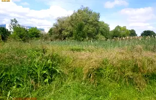 Парцел в София, Овча купел