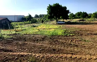 Парцел в Монтана, Парта 1