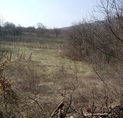 Снимка 3 — Парцел в Монтана, Парта 1