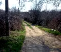 Снимка 4 — Парцел в Монтана, Парта 1