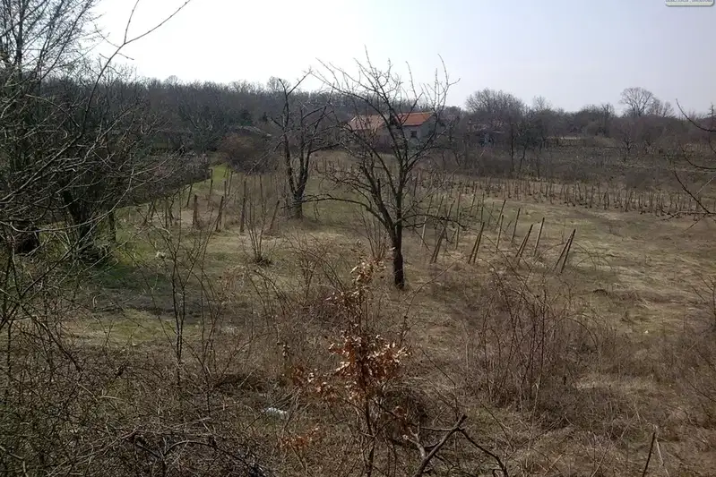 Парцел в Монтана, Парта 1