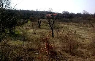 Парцел в Монтана, Парта 1