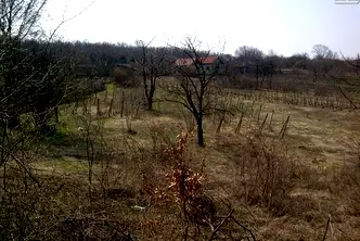 Парцел в Монтана, Парта 1