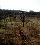 Парцел в Монтана, Парта 1