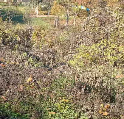 Photo 2 — Plot in Pernik, Prigarov Raion
