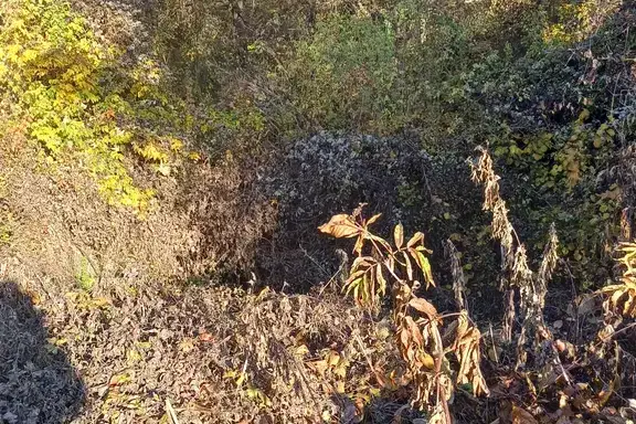 Plot in Pernik, Prigarov Raion