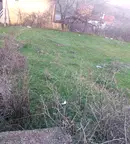 Парцел в Кърджали, Прилепци