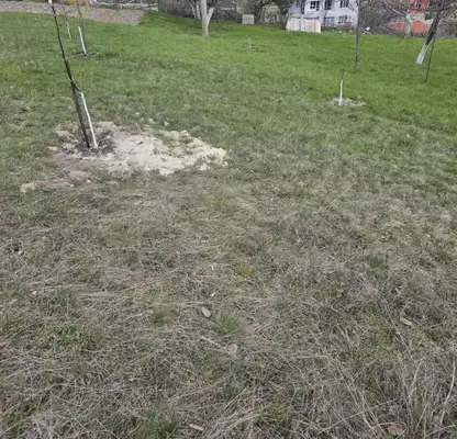 Photo 3 — Plot in Kyrdjali, Prilepci