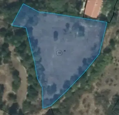 Photo 4 — Plot in Kyrdjali, Prilepci