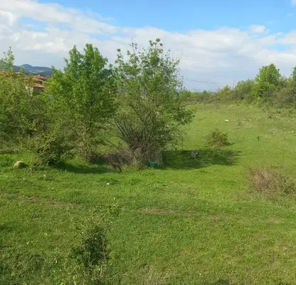 Photo 2 — Plot in Kyrdjali, Prilepci