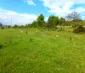 Снимка 5 — Парцел в Кърджали, Прилепци