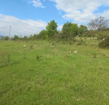 Photo 5 — Plot in Kyrdjali, Prilepci