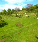 Парцел в Кърджали, Прилепци