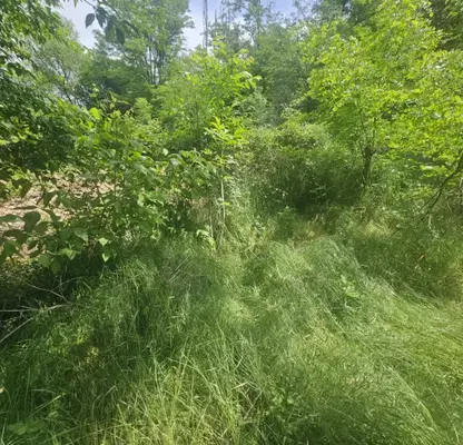 Photo 2 — Plot in Kyrdjali, Prilepci