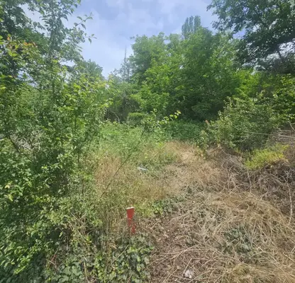 Photo 3 — Plot in Kyrdjali, Prilepci