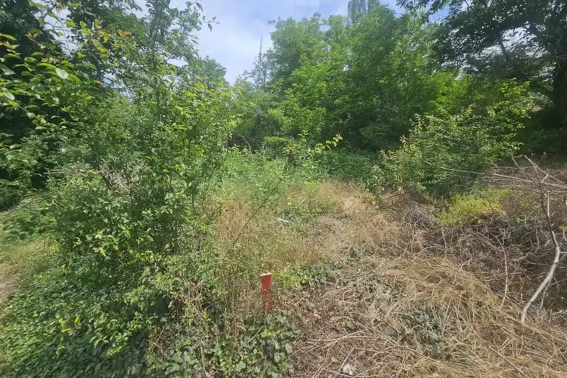 Plot in Kyrdjali, Prilepci