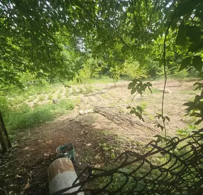 Photo 2 — Plot in Kyrdjali, Prilepci