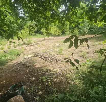 Photo 3 — Plot in Kyrdjali, Prilepci