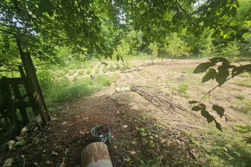 Plot in Kyrdjali, Prilepci