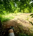 Парцел в Кърджали, Прилепци