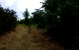 Парцел в Шумен, Промишлена зона