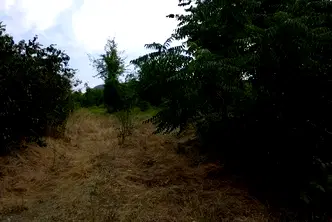 Парцел в Шумен, Промишлена зона