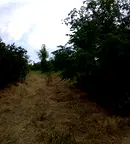 Парцел в Шумен, Промишлена зона