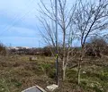 Снимка 4 — Парцел в Шумен, Промишлена зона