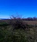 Парцел в Ловеч, Промишлена зона