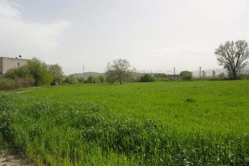 Парцел в Пазарджик, Промишлена зона