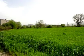 Парцел в Пазарджик, Промишлена зона