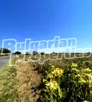 Парцел в Бургас, Промишлена зона - Лозово