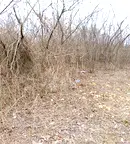 Парцел във Велико Търново, Промишлена зона - Юг