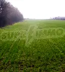 Парцел във Велико Търново, Промишлена зона - Запад