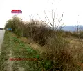Снимка 2 — Парцел във Велико Търново, Промишлена зона - Запад