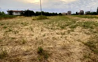 Парцел в Пловдив, Прослав
