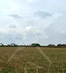 Парцел в Пловдив, Прослав